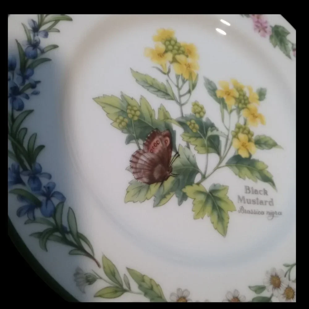 Royal Worcester Herbs Bread and Butter Plates Black Mustard Set Of Two 6.75